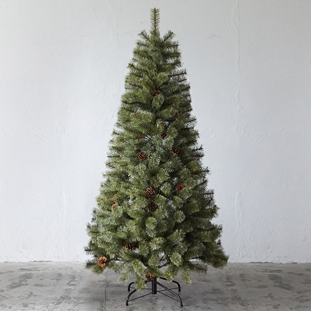 Alsace アルザス クリスマスツリー の写真