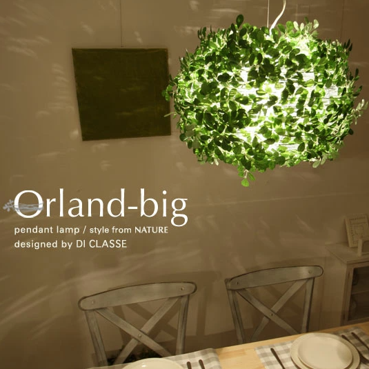 DI CLASSE (ディクラッセ) Orland-big の写真