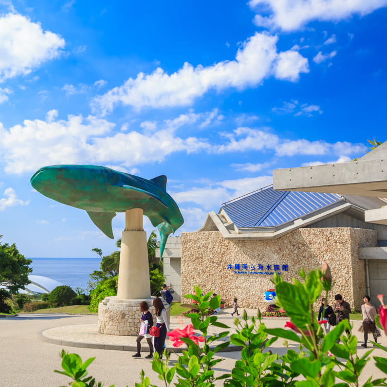 沖縄美ら海水族館の写真